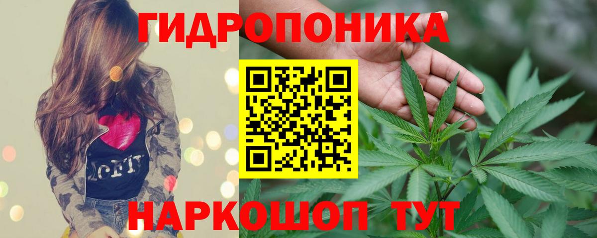 Бошки марихуана ГИДРОПОН  Вход с VPN  Каннабис SATIVA & INDICA  Менделеевск  Конопля сатива 